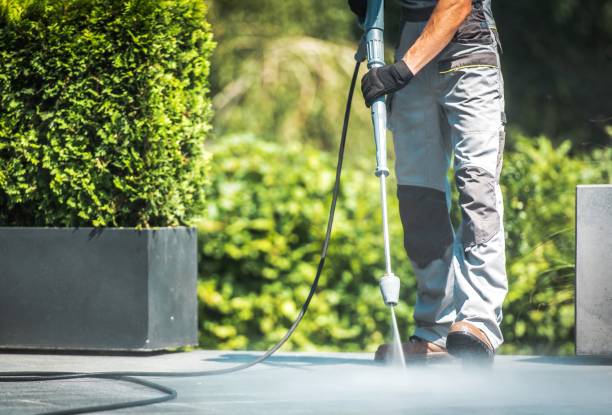 Best Animal Enclosure Cleaning  in Mapleton, MN