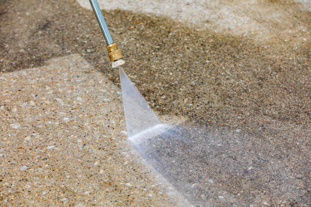Best Roof Washing  in Mapleton, MN