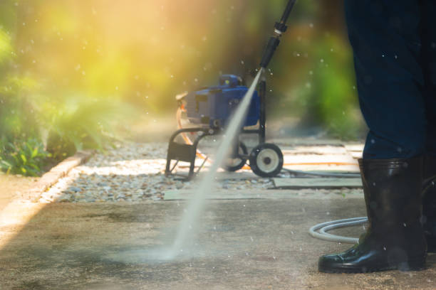 Best Fence Cleaning  in Mapleton, MN